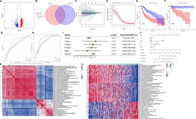 Corrigendum: Single-cell transcriptome analysis reveals the metabolic changes and the prognostic value of malignant hepatocyte subpopulations and predict new therapeutic agents for hepatocellular carcinoma